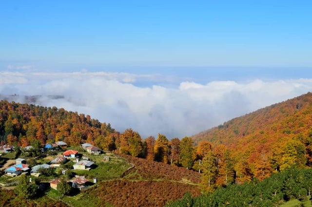 نمونه کار ۴